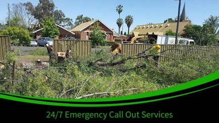Bell's Tree Service Hero Image