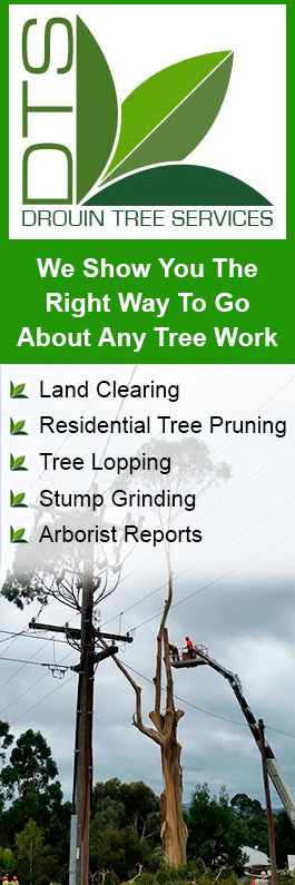 Drouin Tree Services
