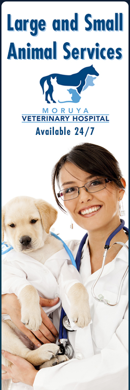 Moruya Veterinary Hospital