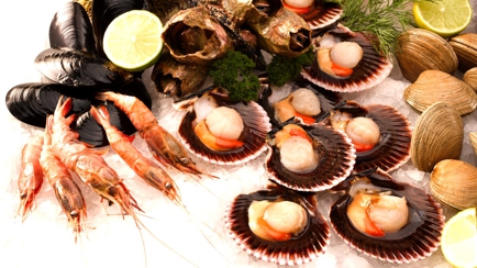 Urangan Fisheries Hero Image