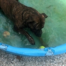 Animal Services Department Pinellas - Animal Shelters