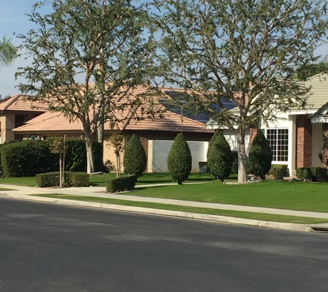 B & M Gardening & Tree Services - Bakersfield, CA
