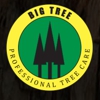 Big Tree gallery