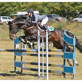 Forest Park Riding & Equitation School - Stromlo, ACT