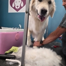 Paws Pet Love - Grooming & More - Pet Grooming