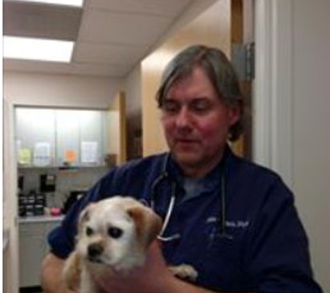 CNY Veterinary Services at Animal Kingdom - Clay, NY