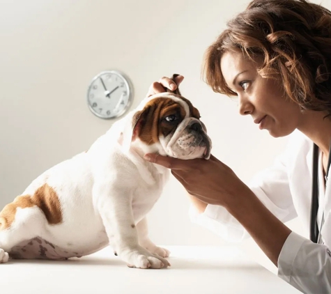 Wetherill Park Vet Clinic - Wetherill Park, NSW