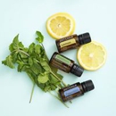 doTerra Essential Oils Manager - Essential Oils