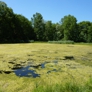 AQUA DOC Lake & Pond Management - Chardon, OH. Before