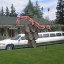 The Limousine Connection