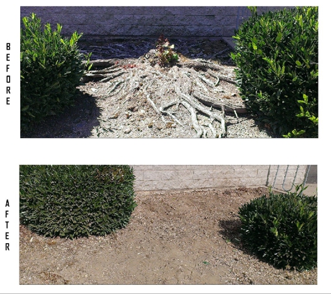DC2 Stump Grinding & Lawn Care