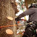 Lebanon ArborCare, LLC - Tree Service