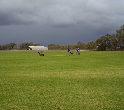 Sunraysia Evergreen Turf - Boeill Creek, NSW
