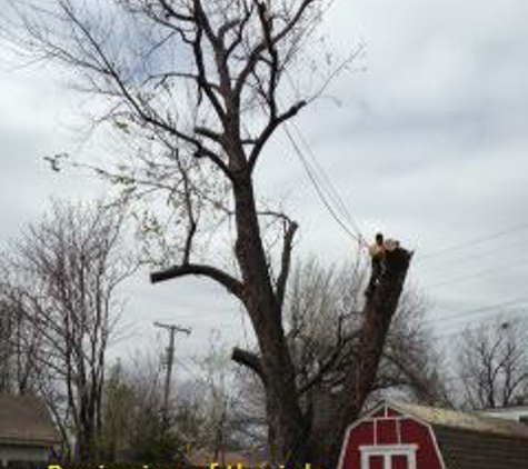 Affordable Tree Services & More - Tulsa, OK