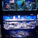 Saltwater Reef Shop Inc - Pet Stores