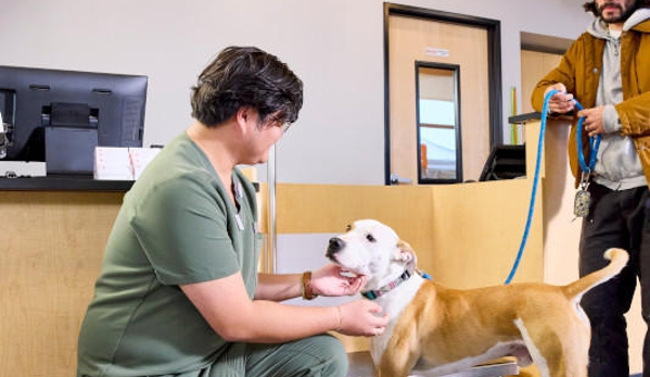 Banfield Pet Hospital - Houston, TX