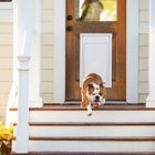 Invisible Fence by Pet Alert