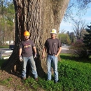 Salmon S Tree Service - Tree Service