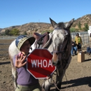 Hunter Valley Riding Academy - Horse Training