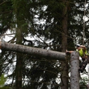 Thunderbird Treescapes - Tree Service