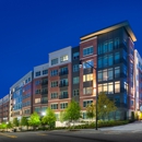 The Bryant at Buckhead Village - Real Estate Rental Service