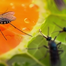 Caldwell Pest Management - Pest Control Equipment & Supplies