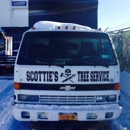 Scottie's Tree Service - Tree Service