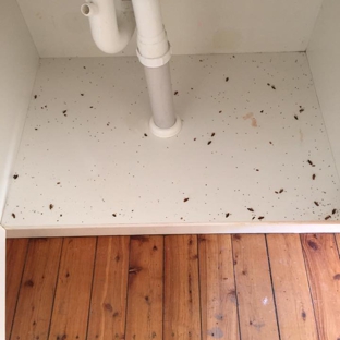 Kombat Carpet Cleaning & Pest Solutions - Quirindi, NSW