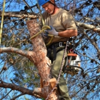 McKee Tree Service