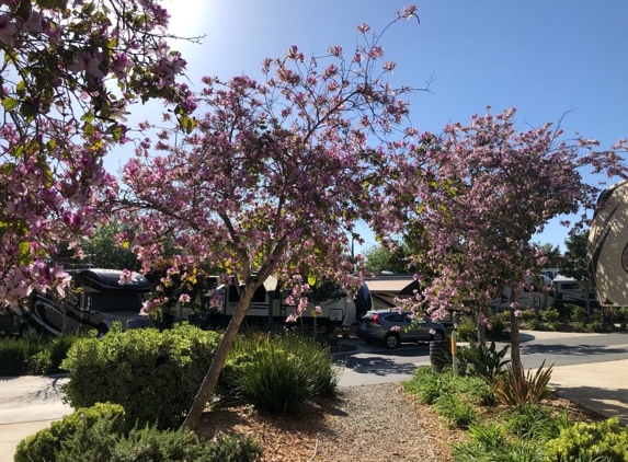 Escondido RV Resort - Escondido, CA