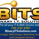 Binary It Solutions - Computer Network Design & Systems