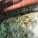 Aqua Guard Pools - Swimming Pool Repair & Service