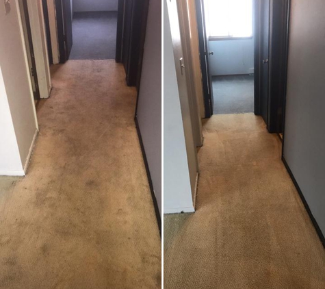 Collins Carpet Cleaning, L.L.C. - Mukwonago, WI