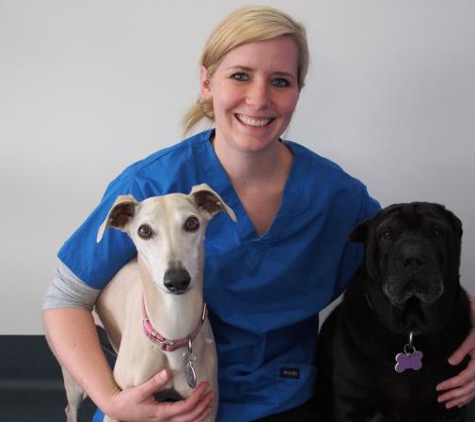 Lara Pet Hospital & Veterinary Centre - Lara, VIC