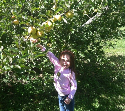 Lynd's Fruit Farm - Pataskala, OH