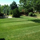 Harris Lawn & Landscape