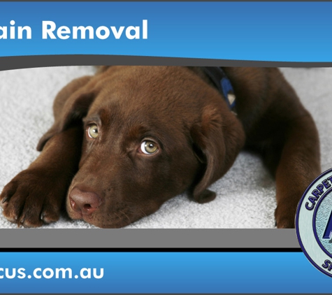 A1 Carpet & Upholstery Specialists - Hobart, TAS