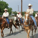 Decatur Veterinary Clinic - Veterinarians