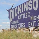 Dickinson Cattle Co - Ranches