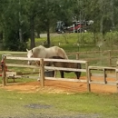 Hitchinpost Corral and Campground RV Park - Campgrounds & Recreational Vehicle Parks