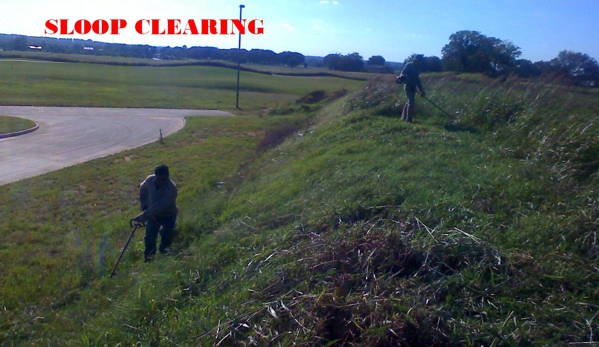 clearing&trimming services - Arlington, TX