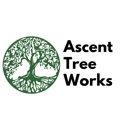 Ascent Tree Works - Tree Service