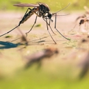 Baldwyn Termite & Pest Control - Pest Control Equipment & Supplies