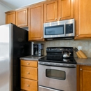 Macri Appliance Service - Small Appliance Repair