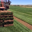 Sod King - Sod & Sodding Service