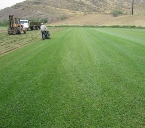 THE VALLEY SOD FARM INC - North Hills, CA