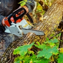 D&D Tree Service. - Tree Service