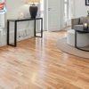 Heaven's Best Carpet Cleaning Brandon FL gallery