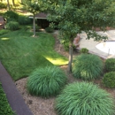 Colucci Bros - Landscape Contractors