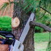 Aabraham Professional Tree Services gallery
